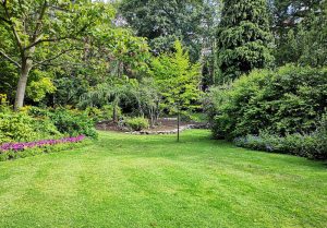 Optimiser l'expérience du jardin à Copponex