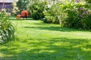 travaux jardin et paysage Copponex